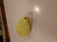 wp_20151229_004.jpg